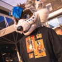 Photo of one of the BARQ! hoodies