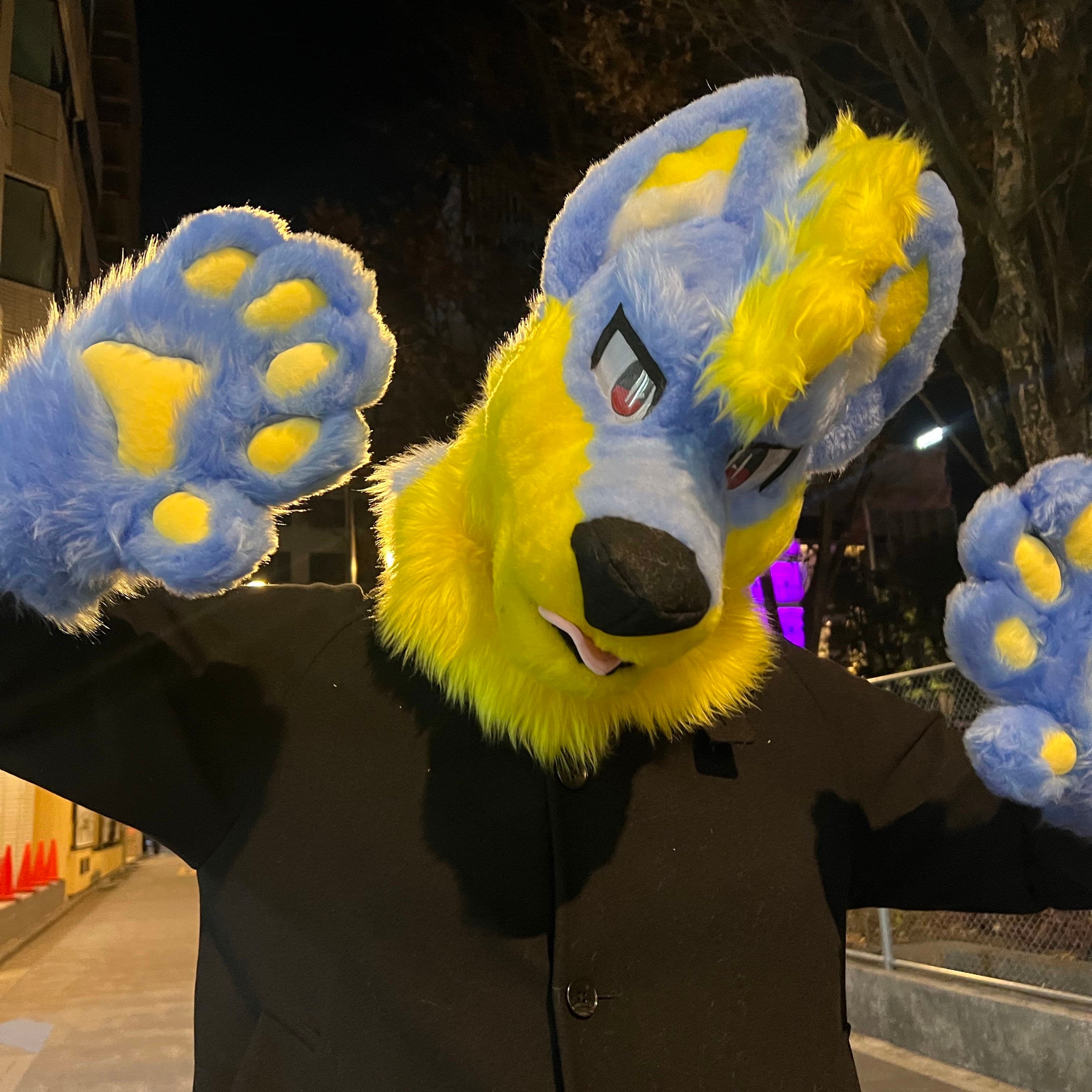 Coffee wolf ☕️🐺